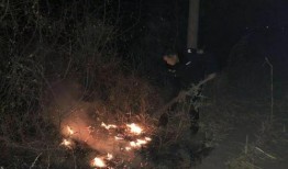 武安最新爆料事件,揭秘事件背后惊人真相